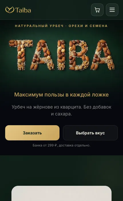 Первый экран сайта Taiba